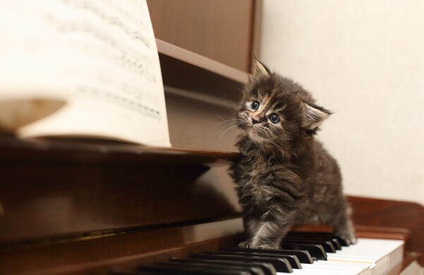 ピアノイラスト